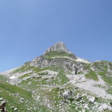 26 giugno – Monte Meta (2.242 m) dal Pianoro delle Forme (Valle Fiorita)￼