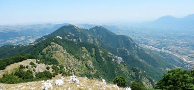 9 luglio – Cresta del Monaco da Civitella Licinio a Gioia Sannitica