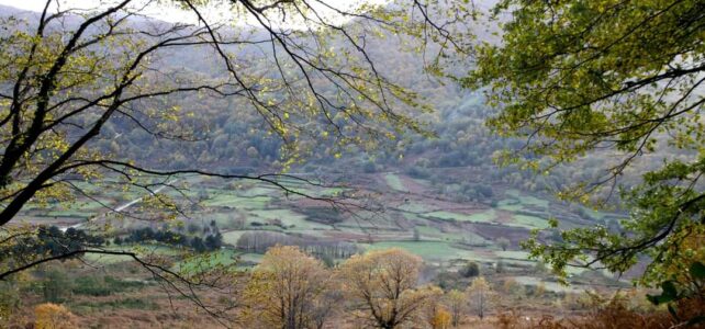 1 novembre – Vallone Ceraso e monte Gaudello da C.da Rosato