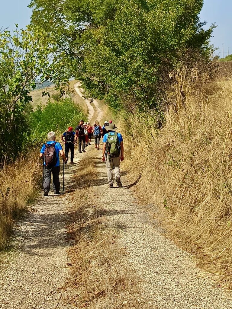 Francigena – 06