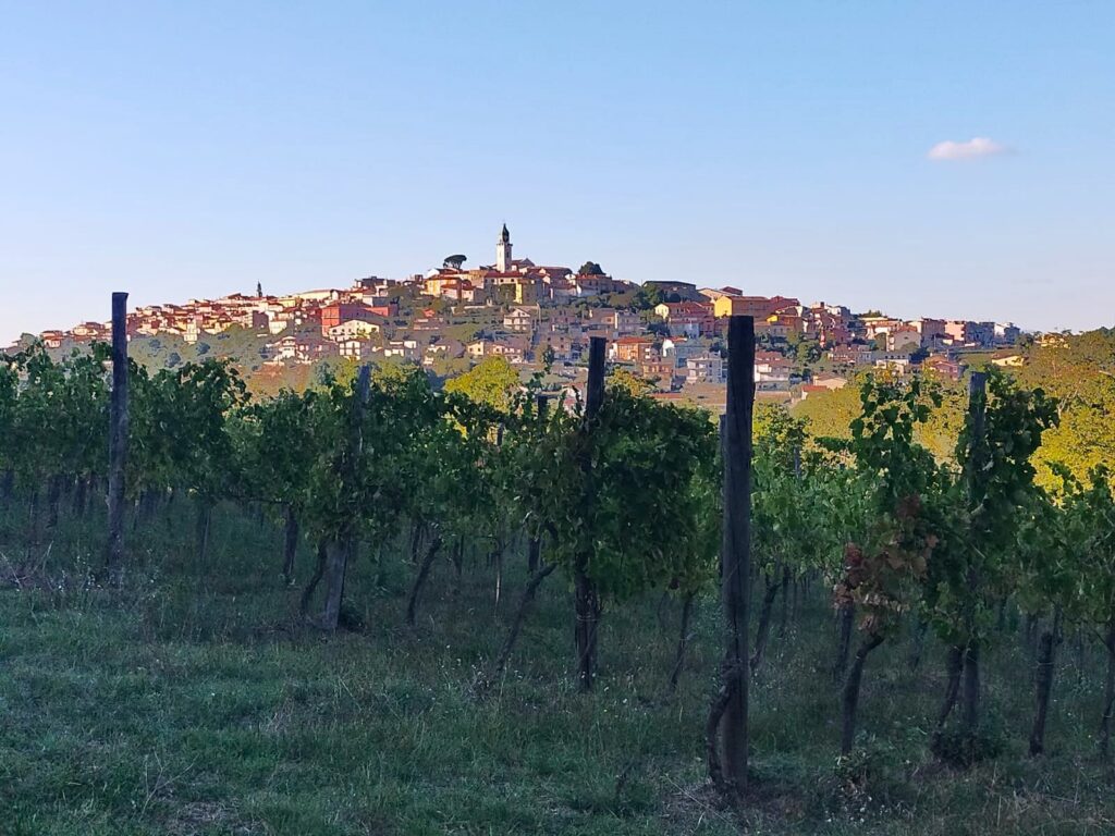 Taurasi – 025