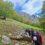 Monte Alpi
