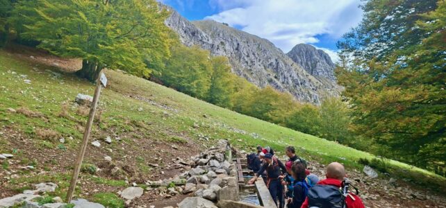 Monte Alpi
