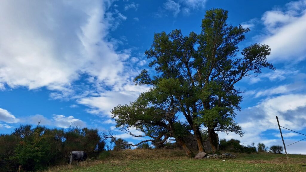 Monte Alpi – 04