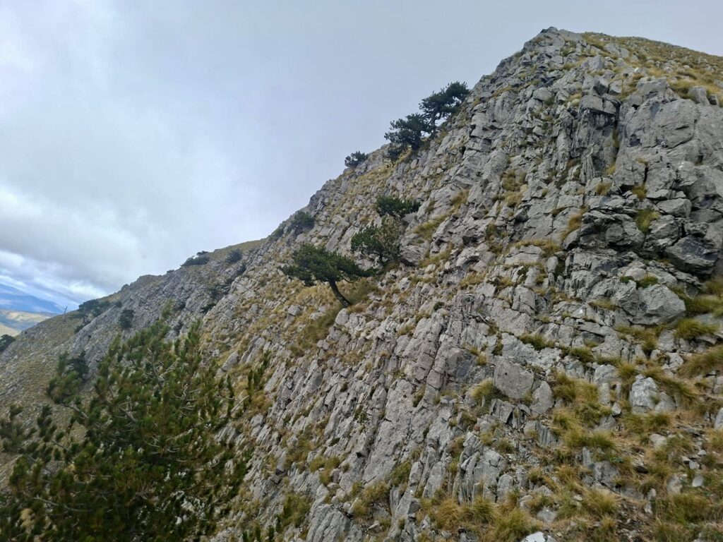 Monte Alpi – 05
