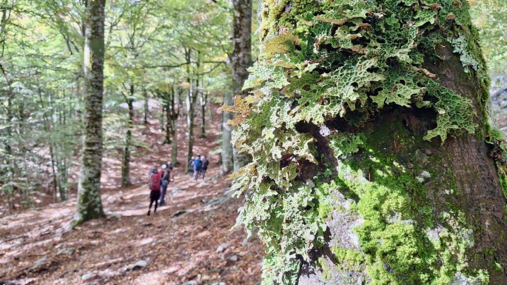 Monte Alpi – 07