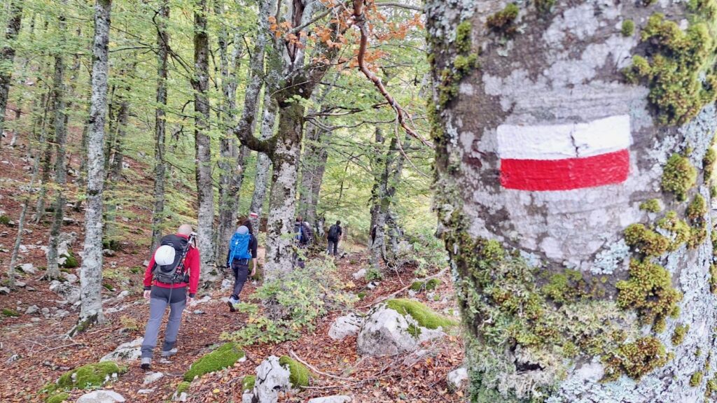 Monte Alpi – 08