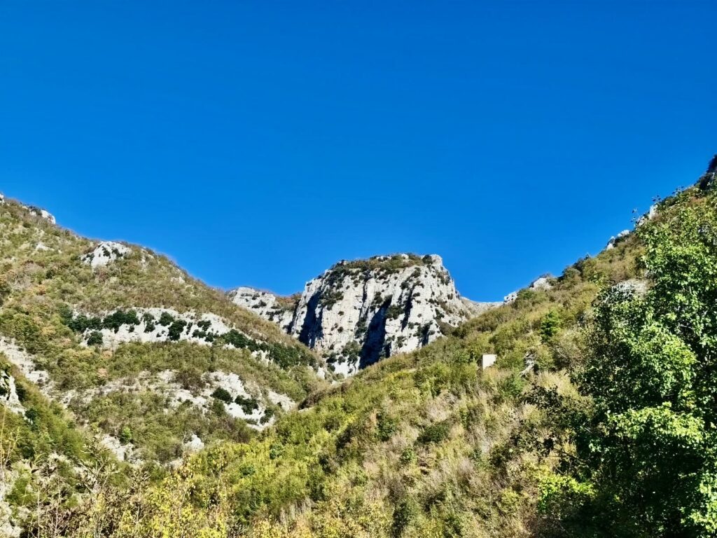 Regiapiana – 04