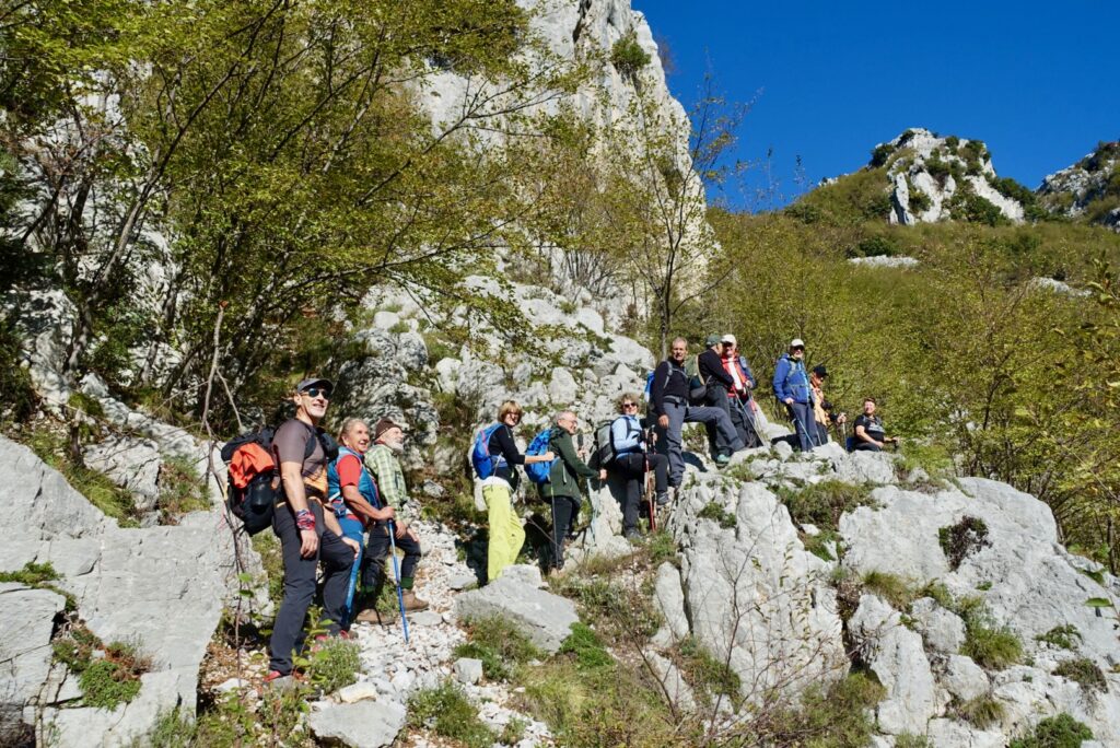 Regiapiana – 05