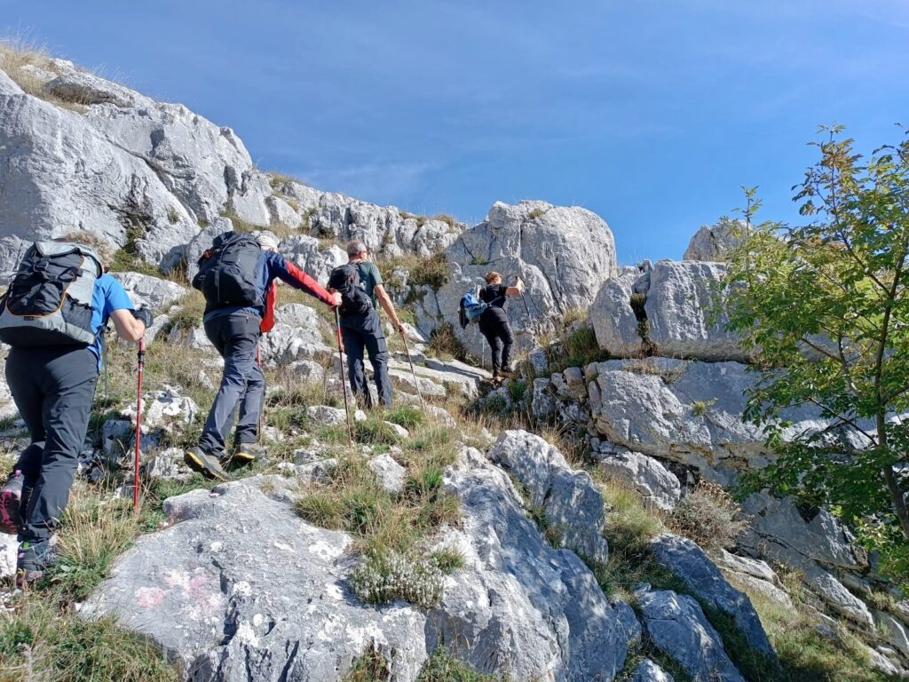 Regiapiana - 07